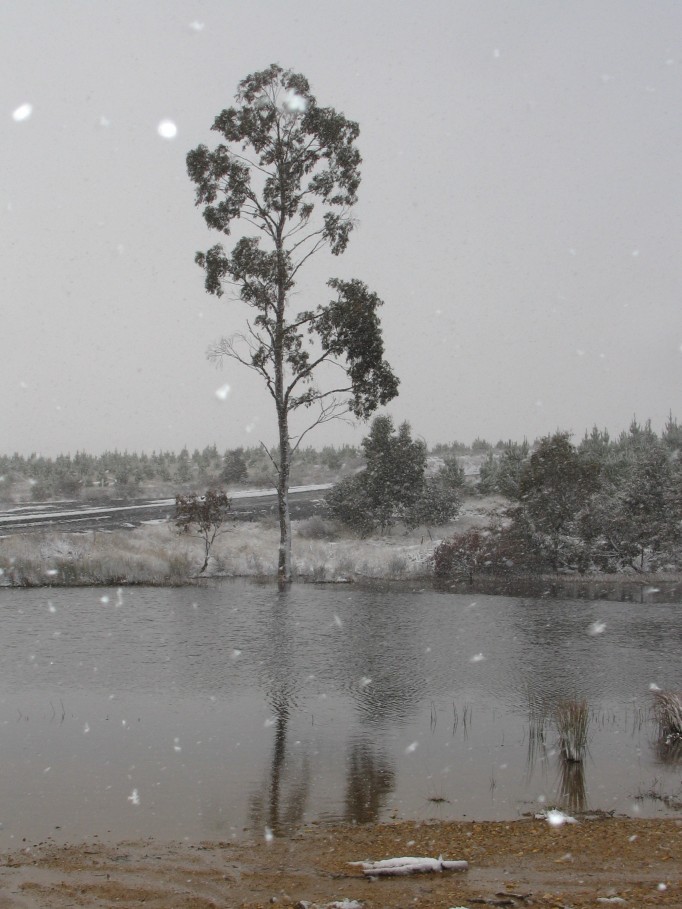 precipitation precipitation_rain : near Oberon, NSW   23 June 2005