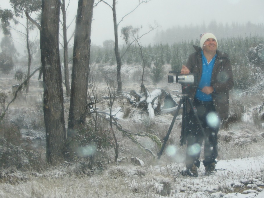 precipitation precipitation_rain : near Oberon, NSW   23 June 2005