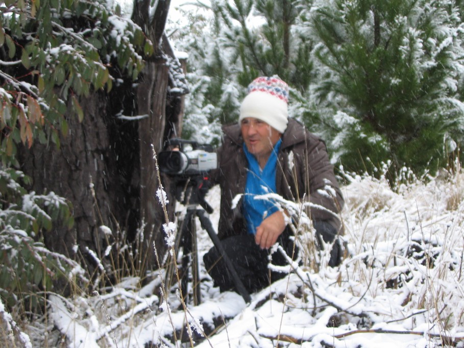 snow snow_pictures : near Oberon, NSW   23 June 2005