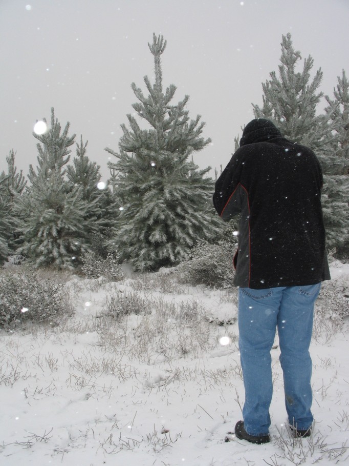 snow snow_pictures : near Oberon, NSW   23 June 2005