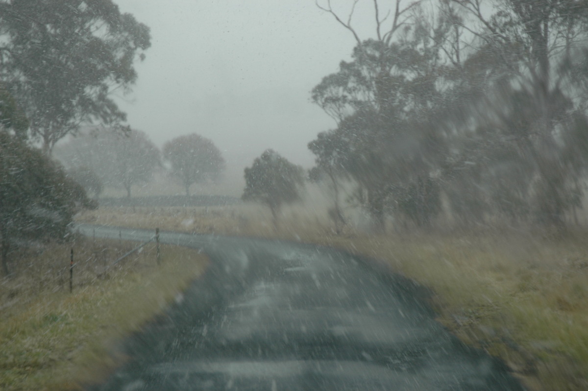 snow snow_pictures : Ben Lomond, NSW   23 June 2005