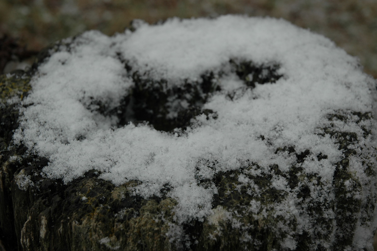 snow snow_pictures : Ben Lomond, NSW   23 June 2005