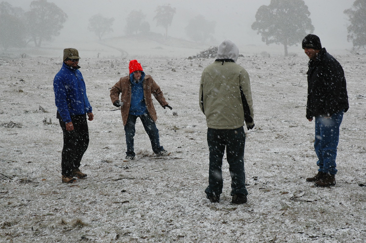 snow snow_pictures : Ben Lomond, NSW   23 June 2005