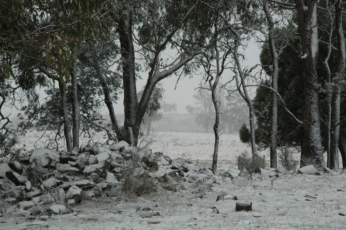 snow snow_pictures : Ben Lomond, NSW   23 June 2005