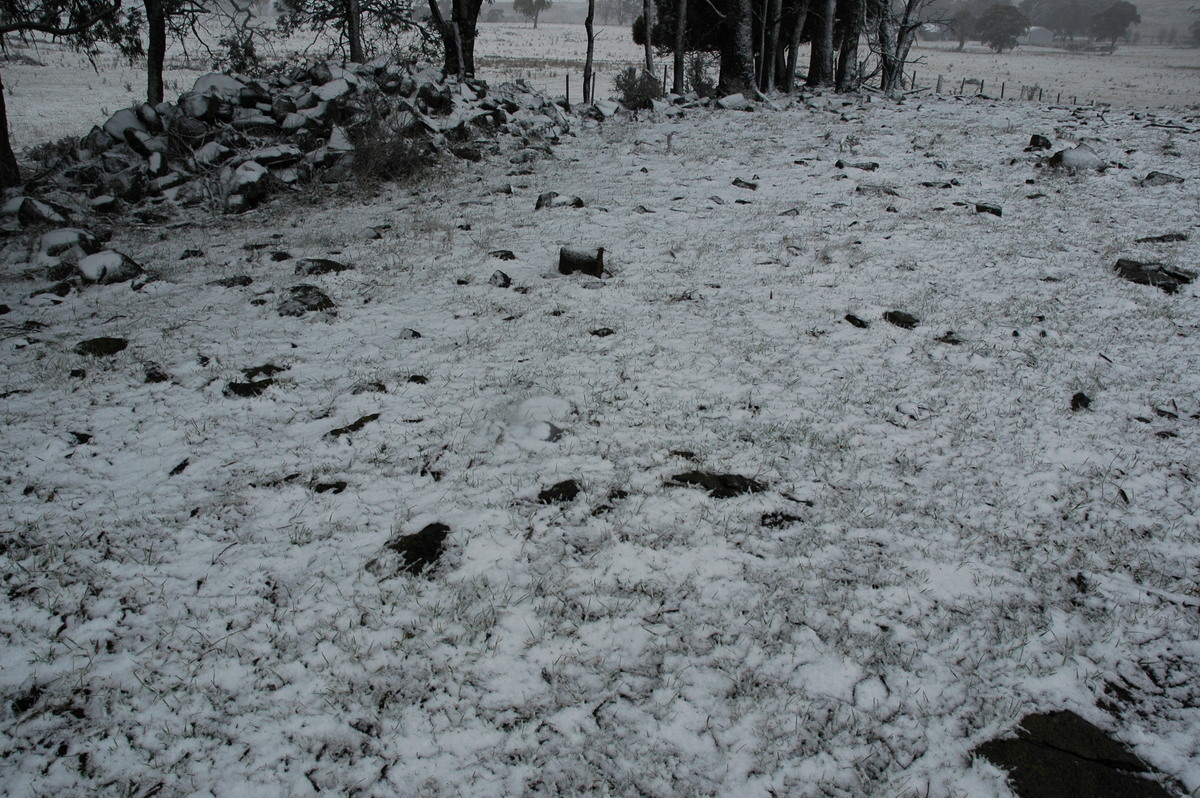 snow snow_pictures : Ben Lomond, NSW   23 June 2005