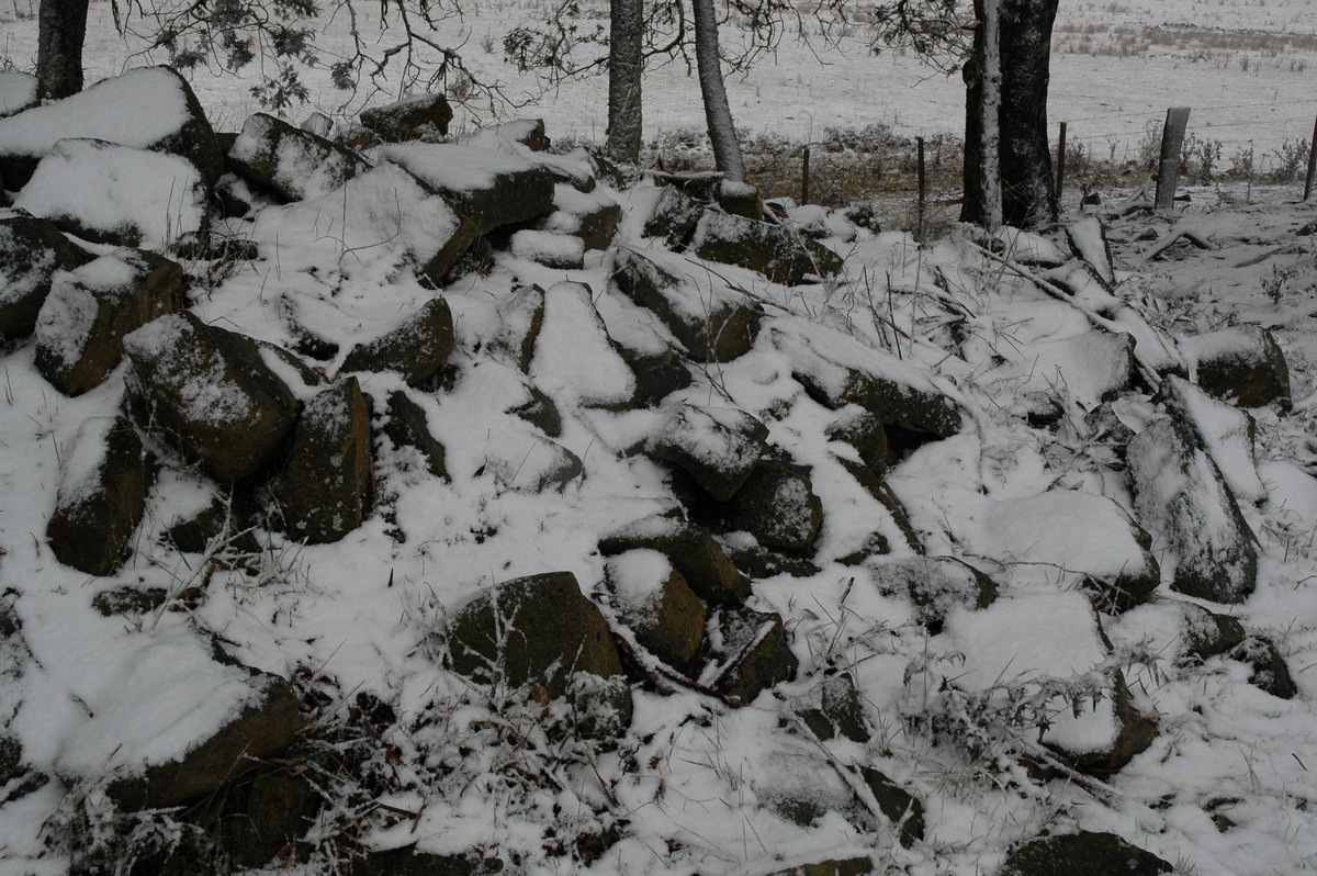 snow snow_pictures : Ben Lomond, NSW   23 June 2005