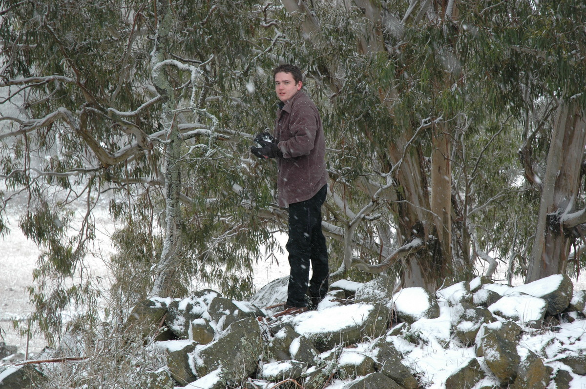 snow snow_pictures : Ben Lomond, NSW   23 June 2005