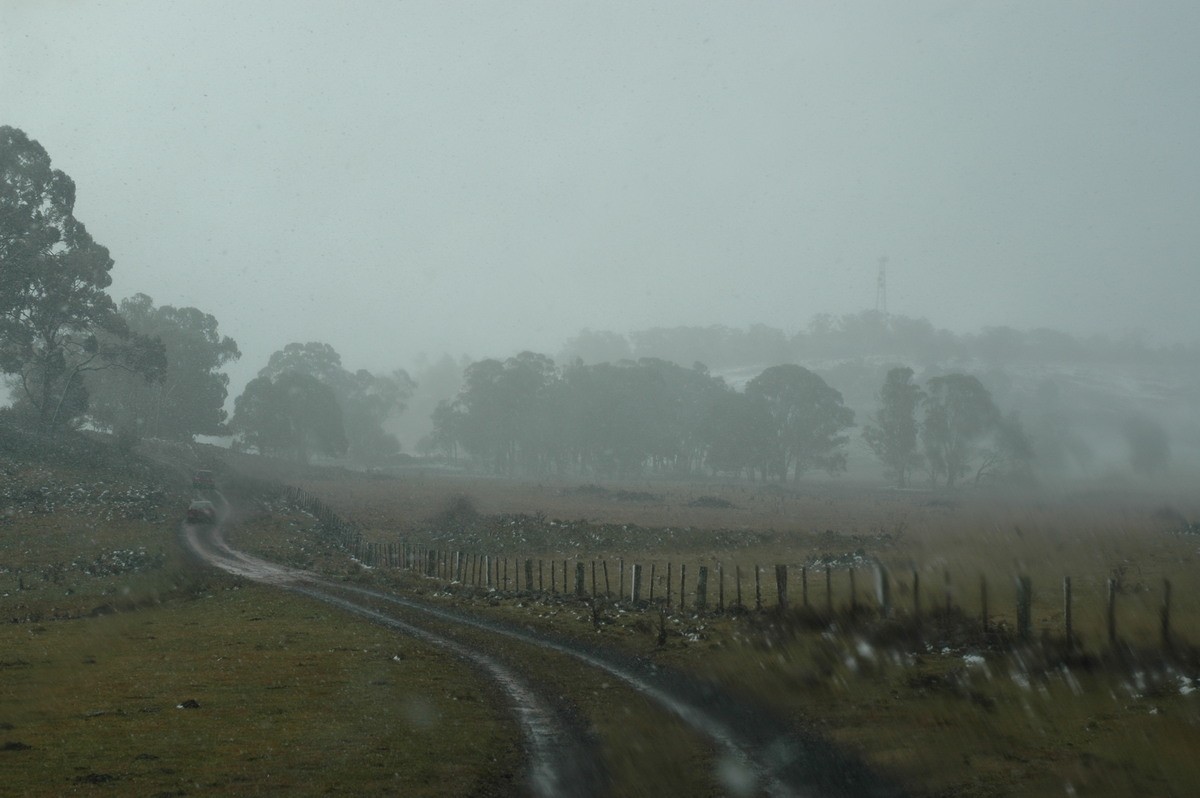 precipitation precipitation_rain : Ben Lomond, NSW   23 June 2005