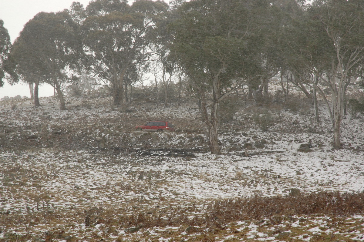 precipitation precipitation_rain : Ben Lomond, NSW   23 June 2005