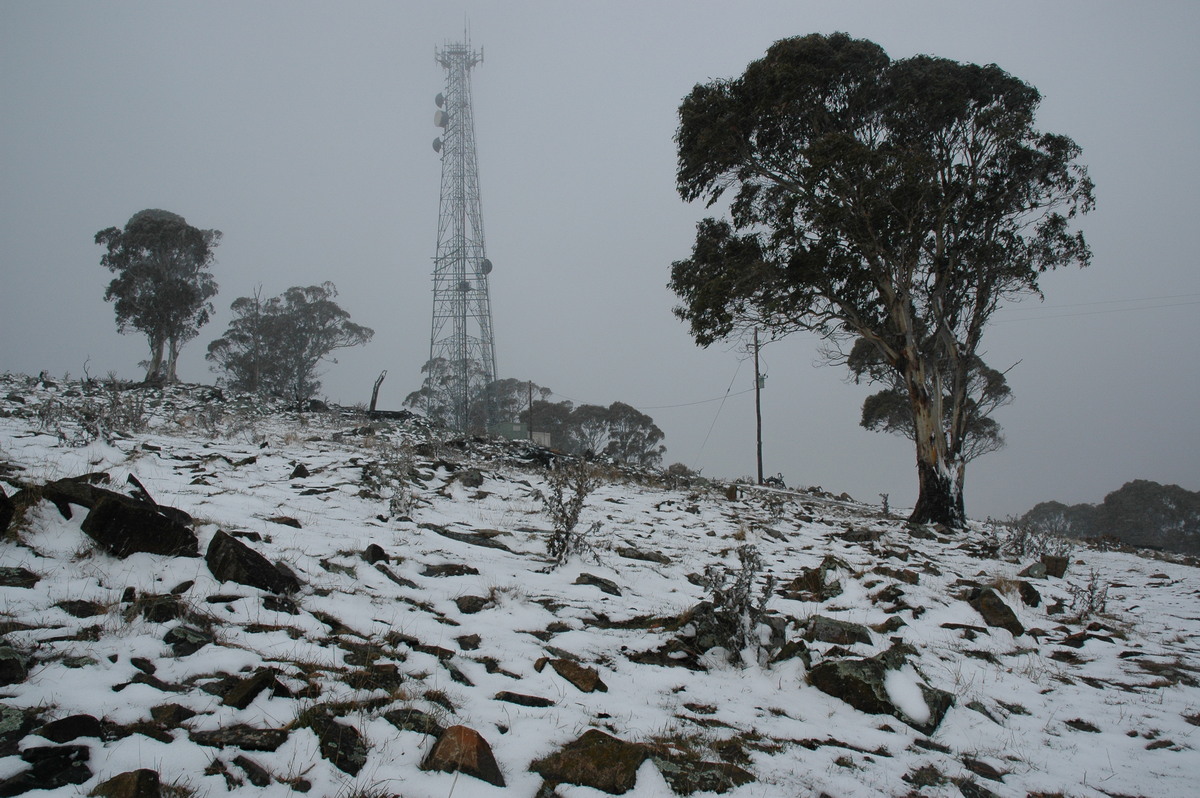 snow snow_pictures : Ben Lomond, NSW   23 June 2005