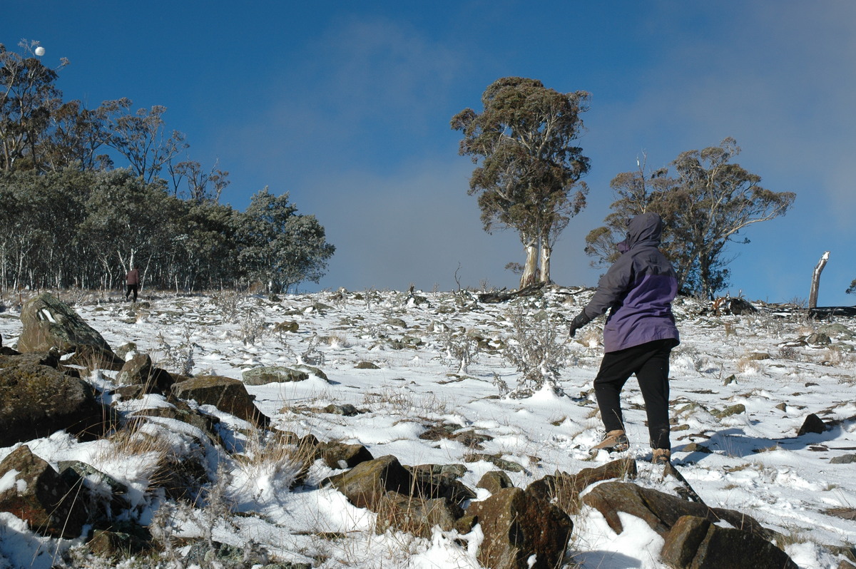 snow snow_pictures : Ben Lomond, NSW   23 June 2005