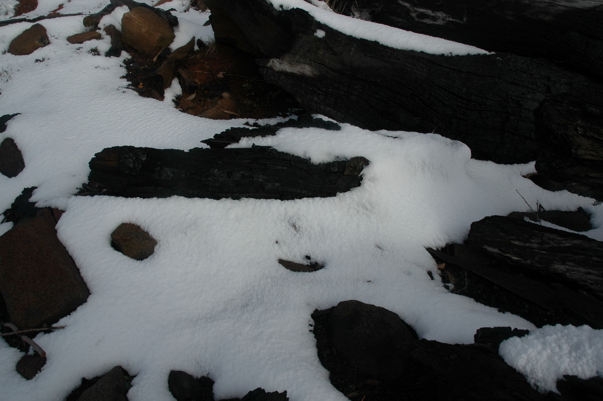 snow snow_pictures : Ben Lomond, NSW   23 June 2005