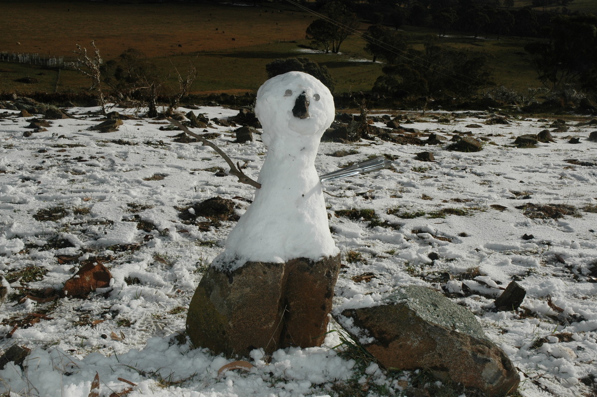 snow snow_pictures : Ben Lomond, NSW   23 June 2005