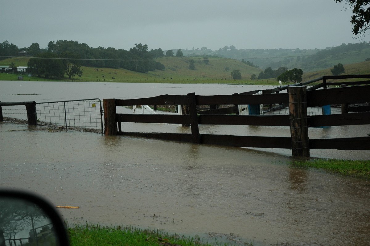 flashflooding flood_pictures : Eltham, NSW   30 June 2005