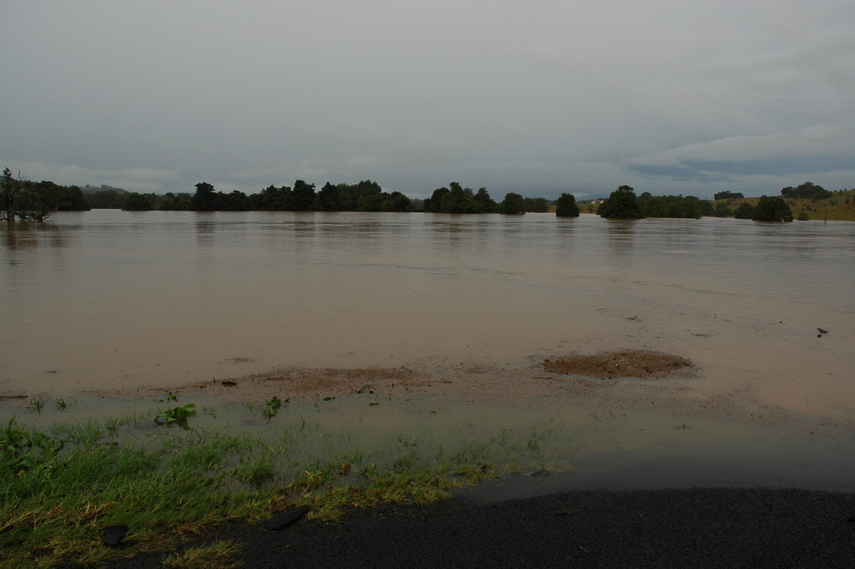 flashflooding flood_pictures : Eltham, NSW   30 June 2005