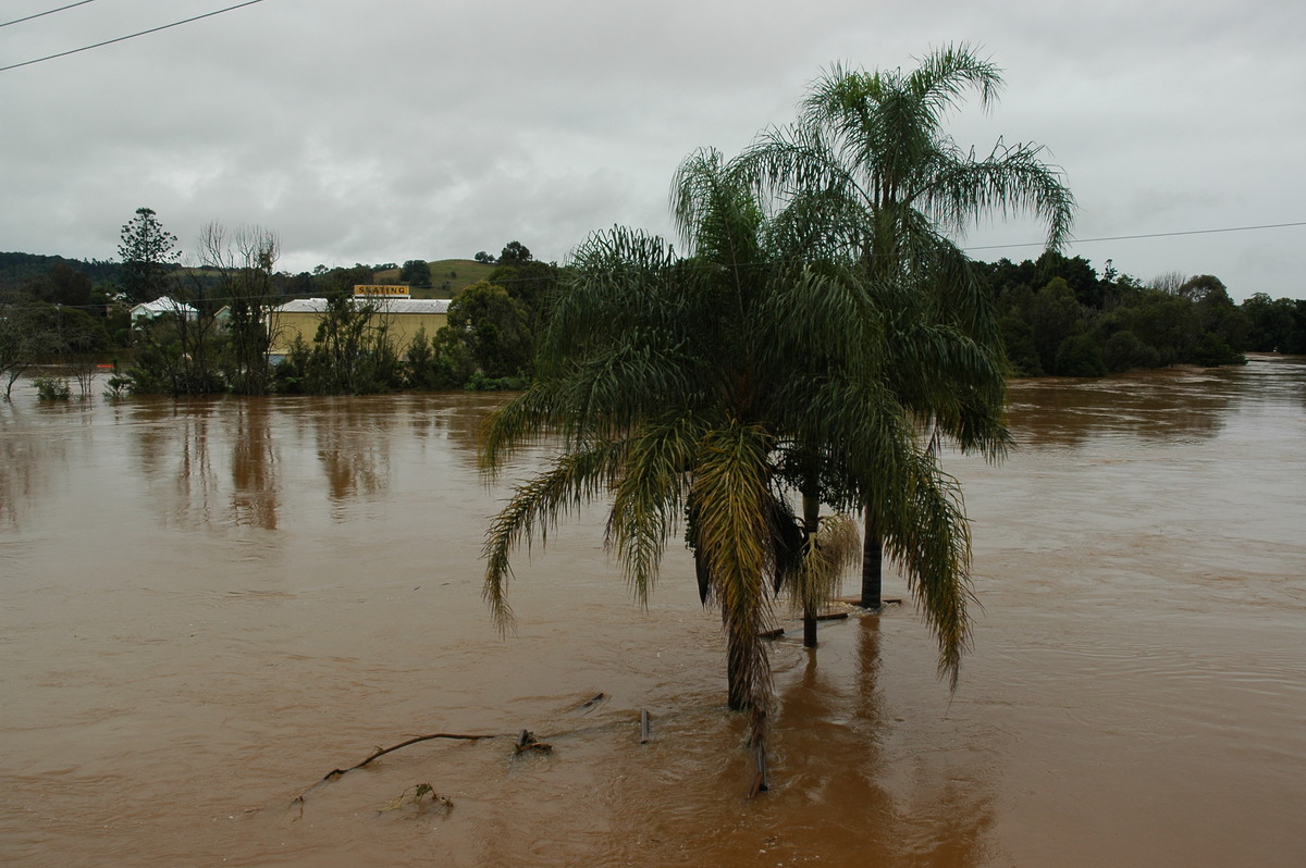 flashflooding flood_pictures : Lismore, NSW   30 June 2005