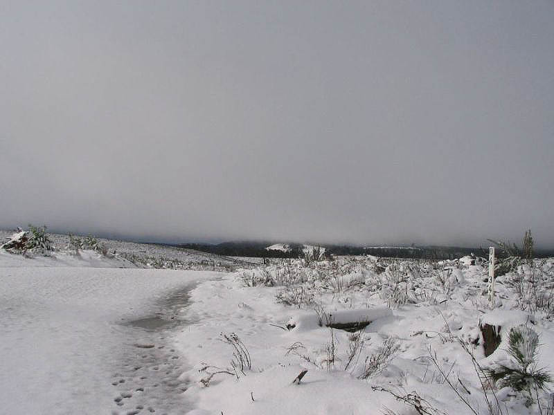 snow snow_pictures : near Oberon, NSW   10 July 2005