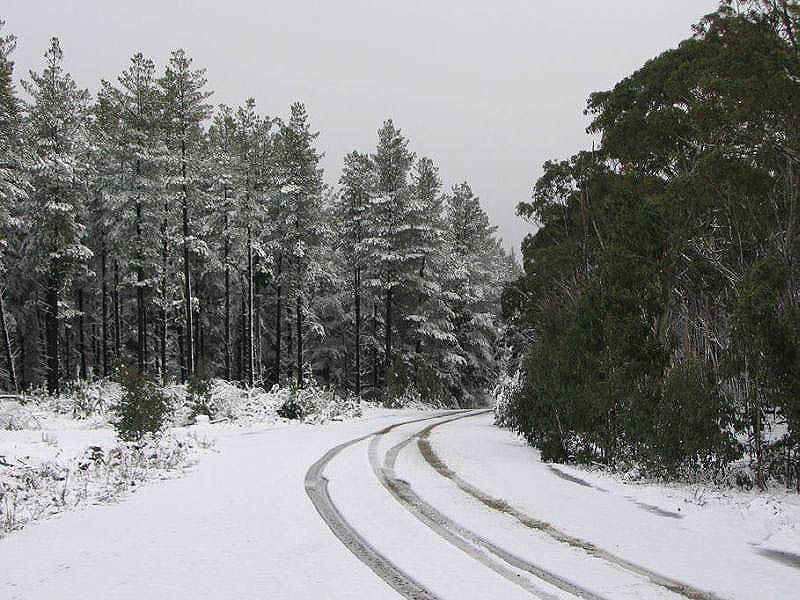 snow snow_pictures : near Oberon, NSW   10 July 2005