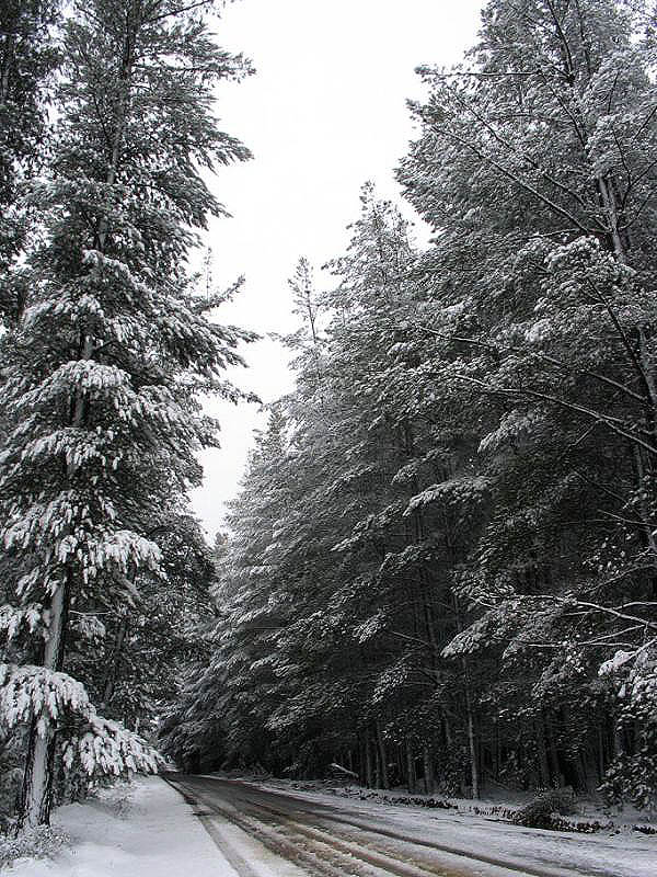 snow snow_pictures : near Oberon, NSW   10 July 2005