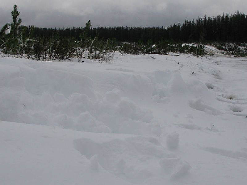 snow snow_pictures : near Oberon, NSW   10 July 2005