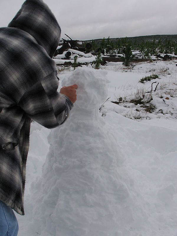 snow snow_pictures : near Oberon, NSW   10 July 2005