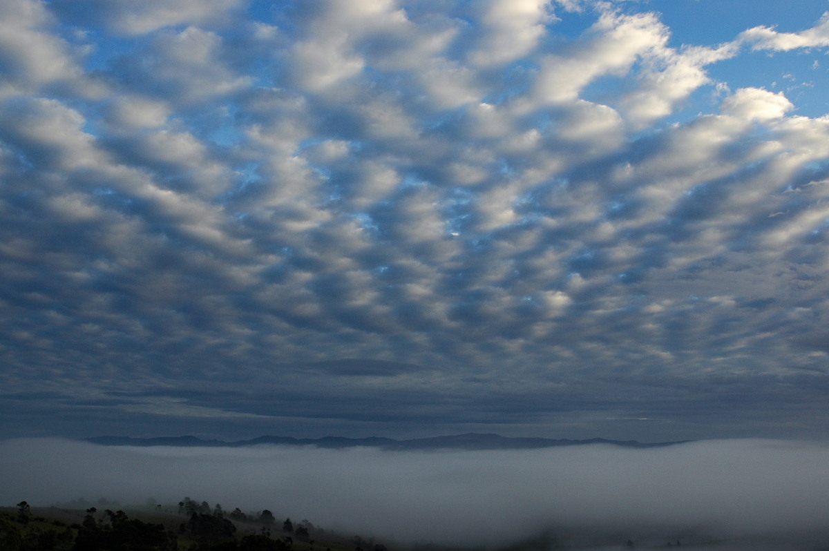 altocumulus mackerel_sky : McLeans Ridges, NSW   13 July 2005