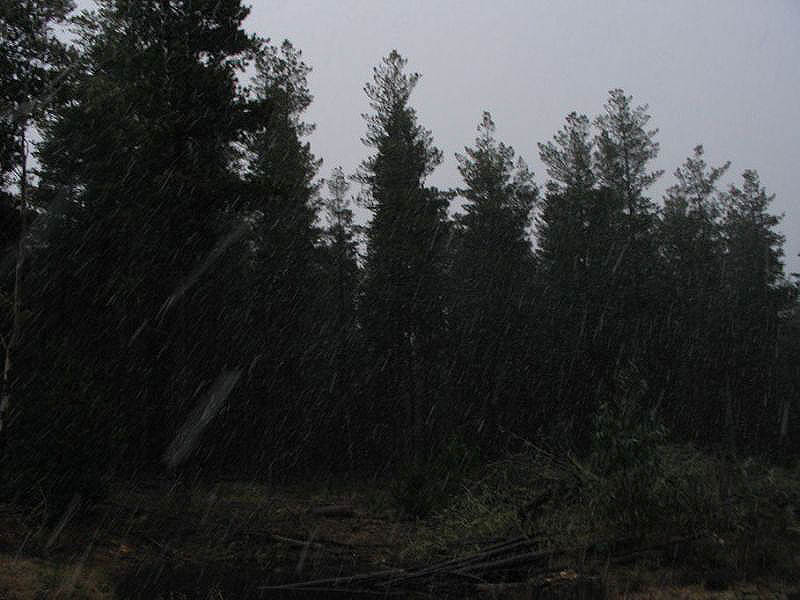 snow snow_pictures : near Oberon, NSW   15 July 2005