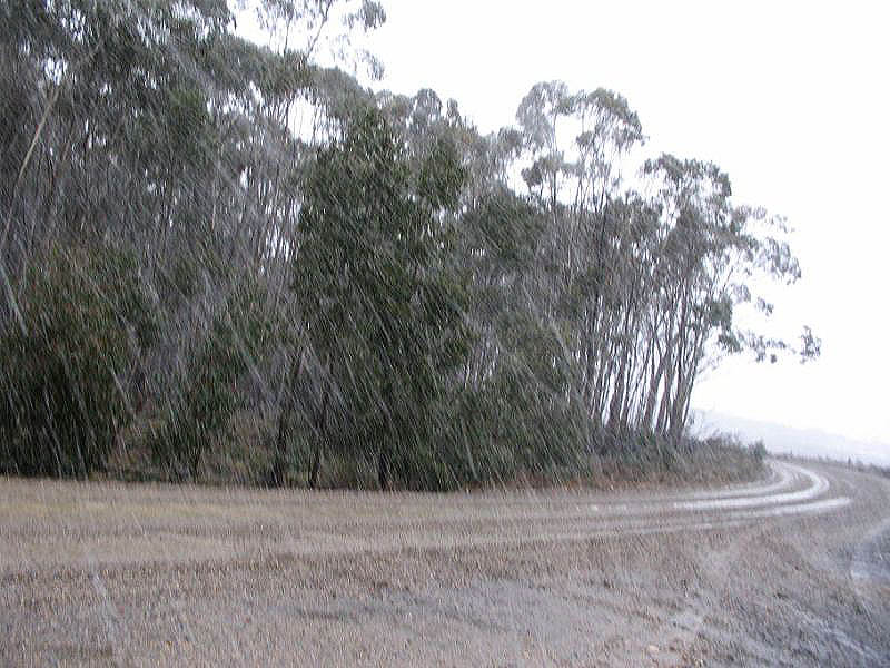 snow snow_pictures : near Oberon, NSW   15 July 2005
