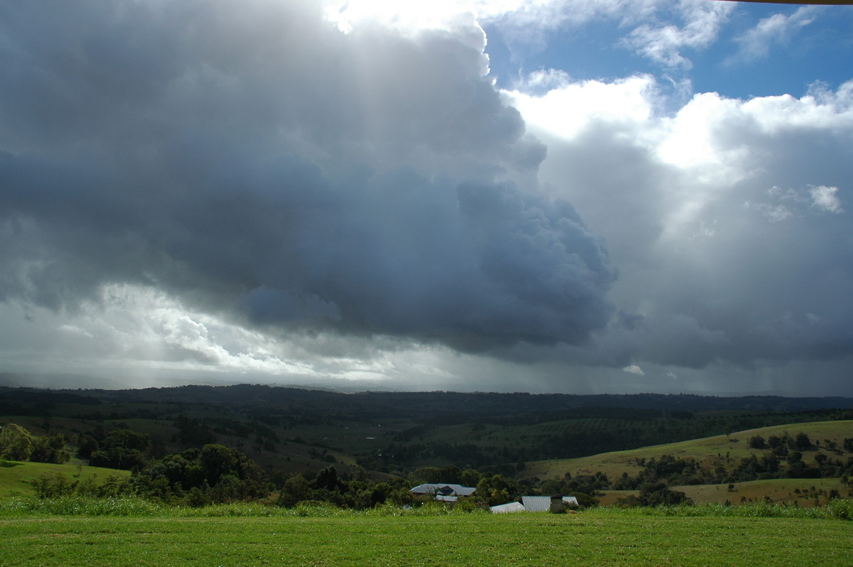 cumulus congestus : McLeans Ridges, NSW   21 July 2005