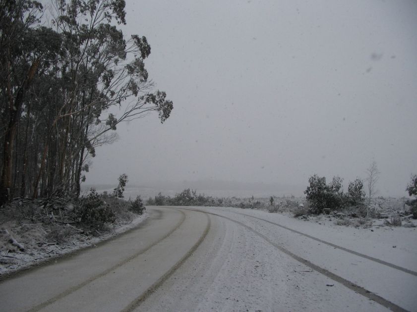 snow snow_pictures : near Shooters Hill, NSW   10 August 2005