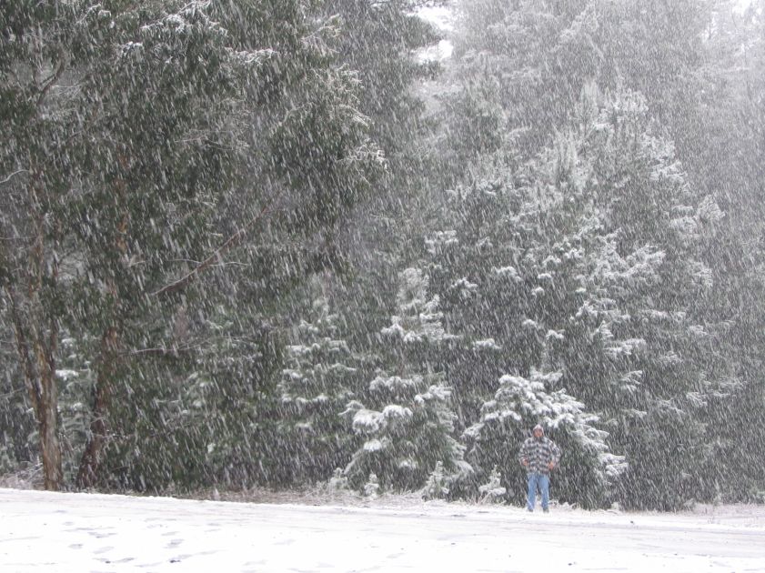 snow snow_pictures : near Shooters Hill, NSW   10 August 2005