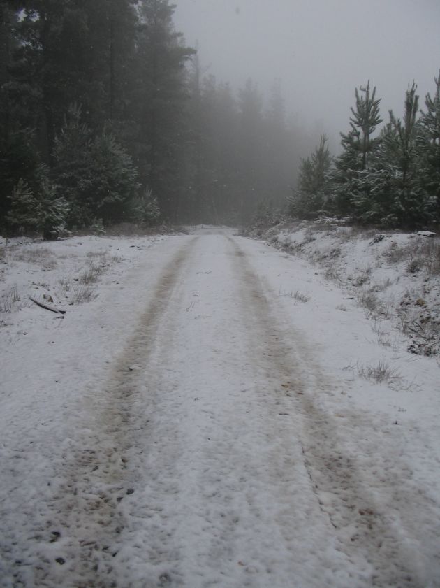 snow snow_pictures : near Shooters Hill, NSW   10 August 2005