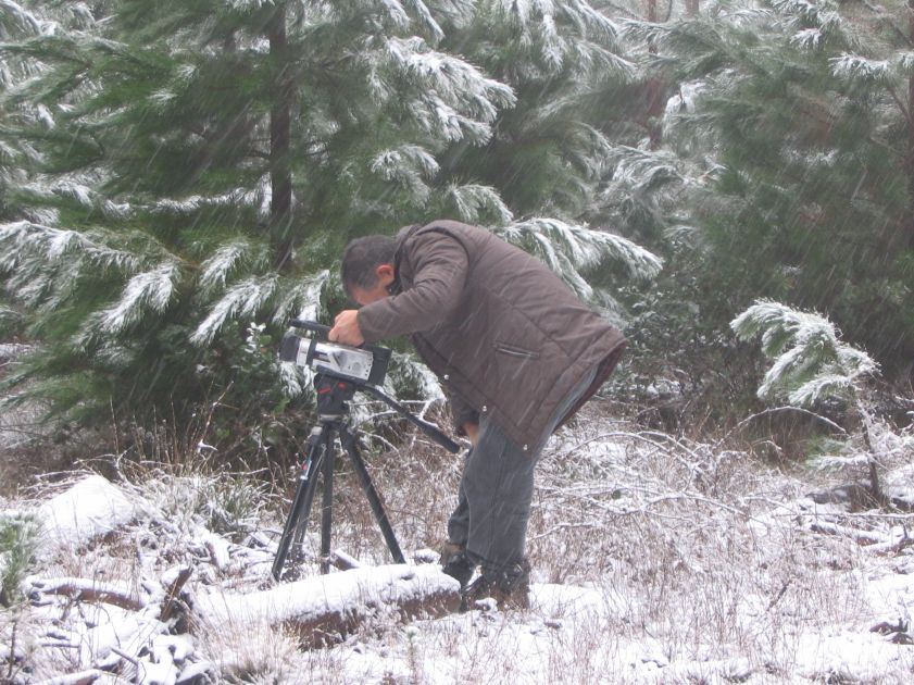 snow snow_pictures : near Shooters Hill, NSW   10 August 2005