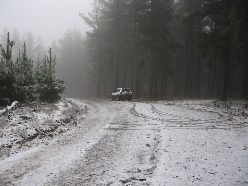 snow snow_pictures : near Shooters Hill, NSW   10 August 2005