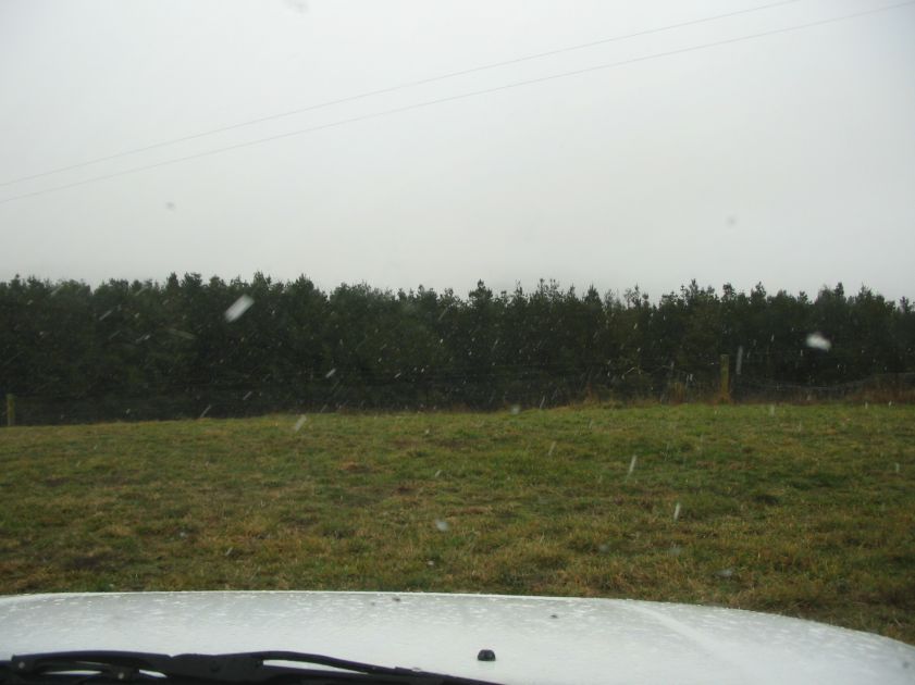 snow snow_pictures : near Oberon, NSW   10 August 2005