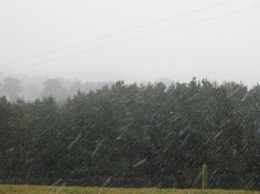 precipitation precipitation_rain : near Oberon, NSW   10 August 2005