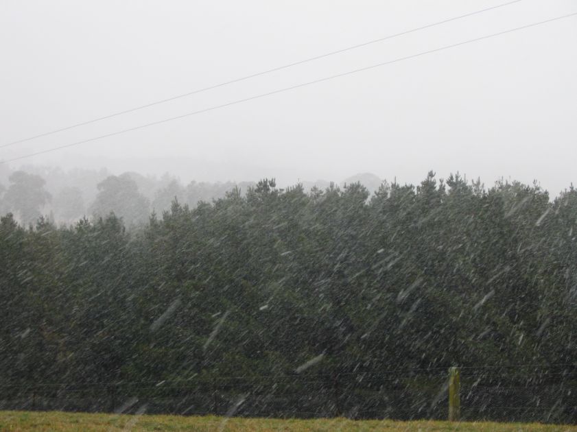 snow snow_pictures : near Oberon, NSW   10 August 2005