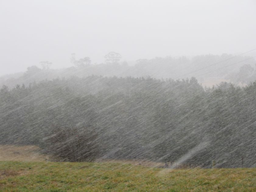 snow snow_pictures : near Oberon, NSW   10 August 2005