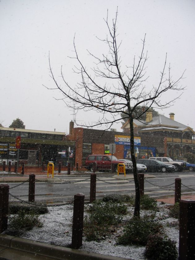 precipitation precipitation_rain : Oberon, NSW   10 August 2005