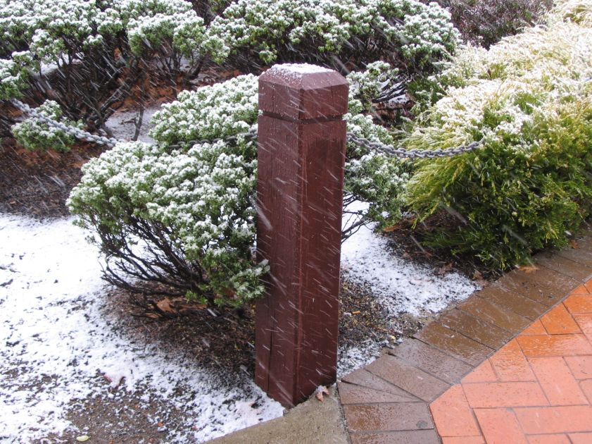 snow snow_pictures : Oberon, NSW   10 August 2005