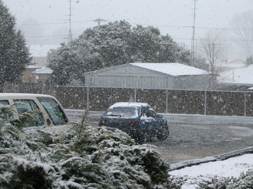 snow snow_pictures : Oberon, NSW   10 August 2005