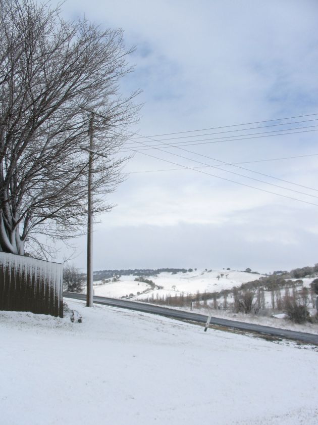 snow snow_pictures : Oberon, NSW   10 August 2005