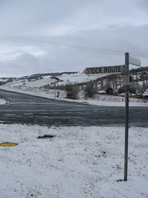 snow snow_pictures : Oberon, NSW   10 August 2005