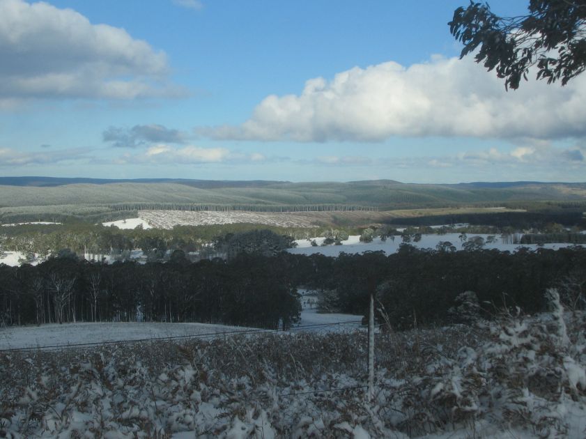 snow snow_pictures : Shooters Hill, NSW   10 August 2005