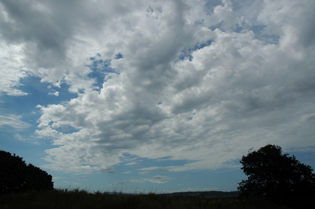 altocumulus castellanus : McLeans Ridges, NSW   2 September 2005