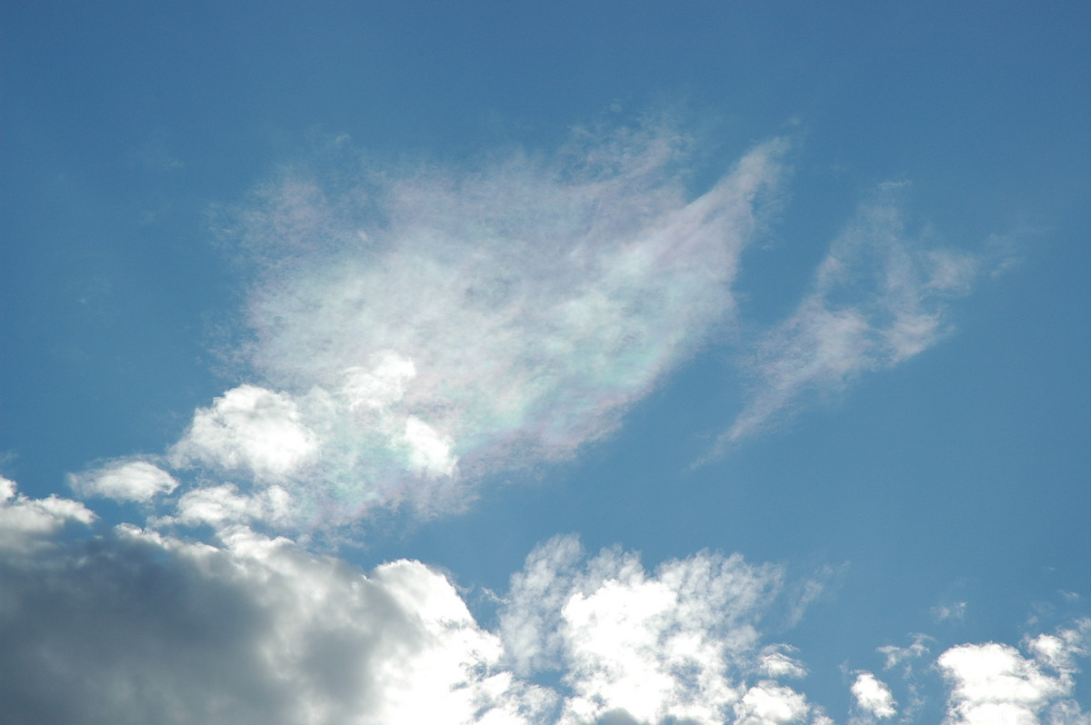 cirrocumulus cirrocumulus_cloud : Ballina, NSW   4 September 2005