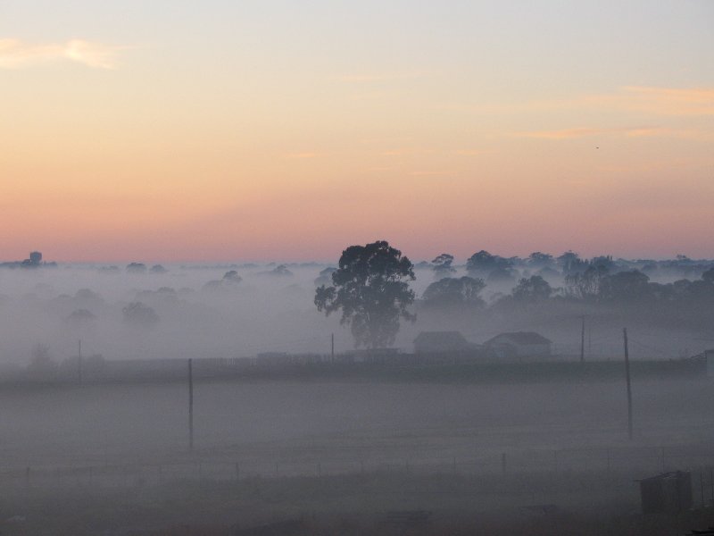 favourites jimmy_deguara : Schofields, NSW   9 September 2005