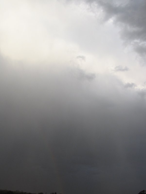 raincascade precipitation_cascade : Schofields, NSW   19 September 2005