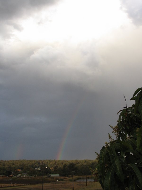 rainbow rainbow_pictures : Schofields, NSW   19 September 2005