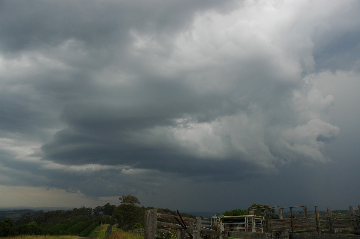 cumulonimbus thunderstorm_base : Tregeagle, NSW   26 September 2005